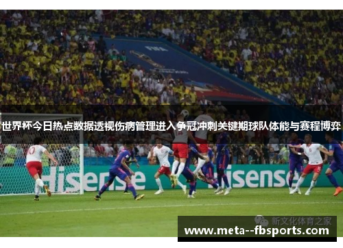 世界杯今日热点数据透视伤病管理进入争冠冲刺关键期球队体能与赛程博弈